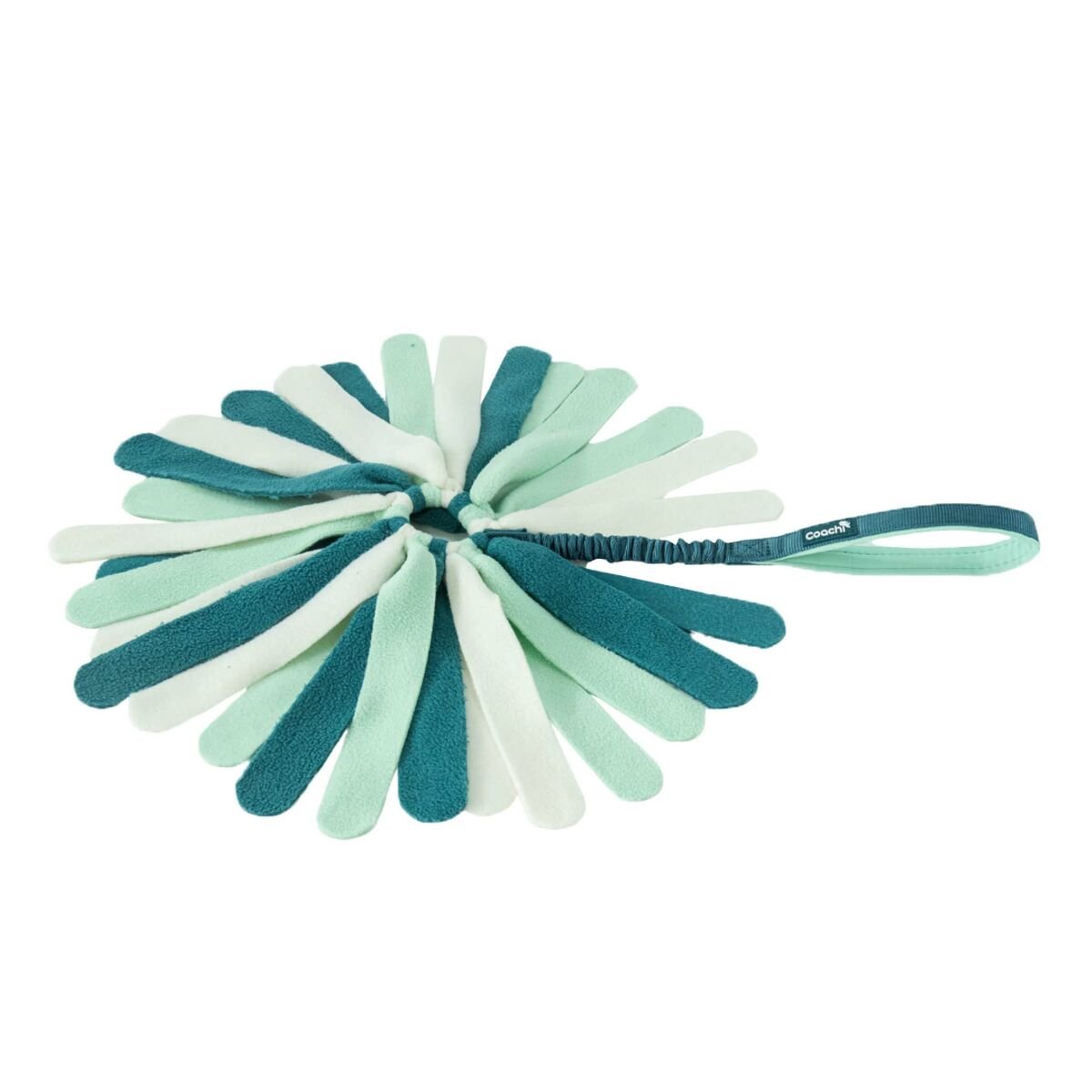 Hondenspeelgoed Coachi PUPPY & MINI TUGGI SPIDER Groen