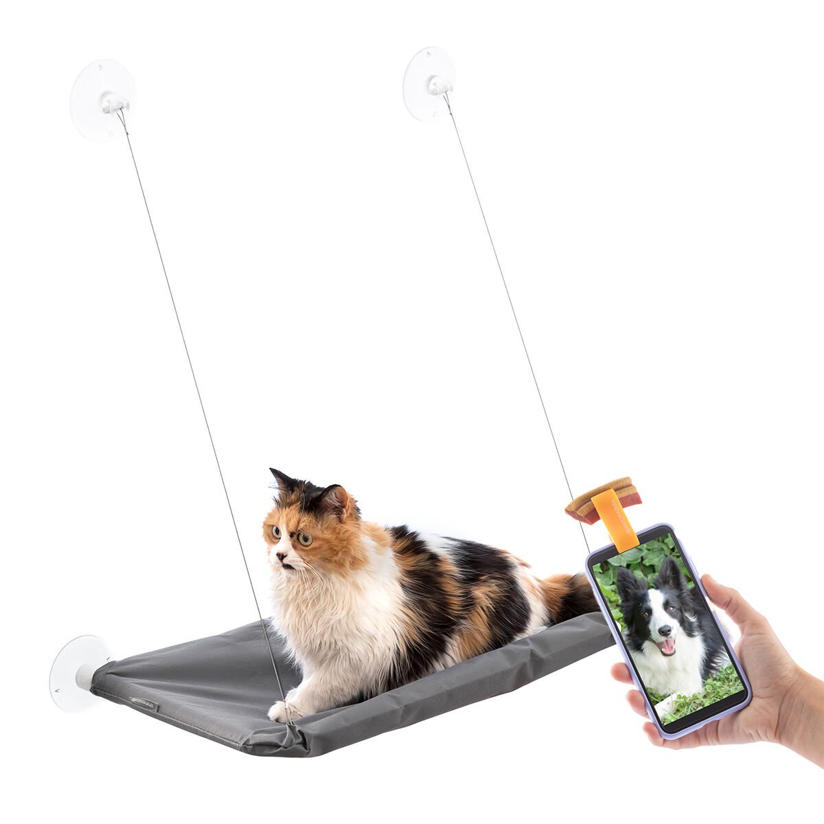 Pack Selfieclip voor huisdieren en Kattenhangmat InnovaGoods